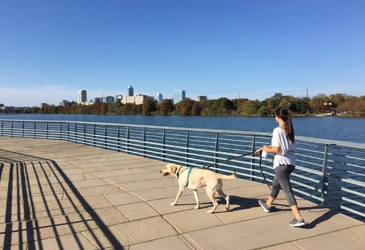 Lots of dog lovers walk their dogs in Austin along the river